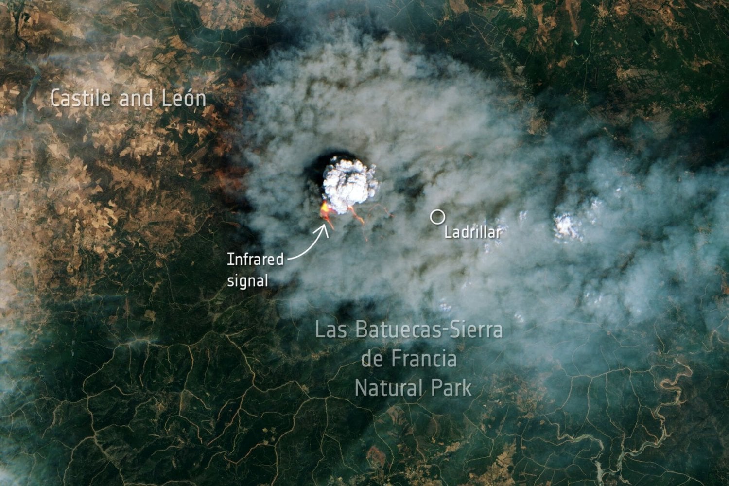 Científicos españoles crean una IA que detecta dónde un incendio puede convertirse en uno de los más peligrosos con 16 días de margen. Cruza satélites de la NASA y la ESA y alcanza una precisión cercana al 90%