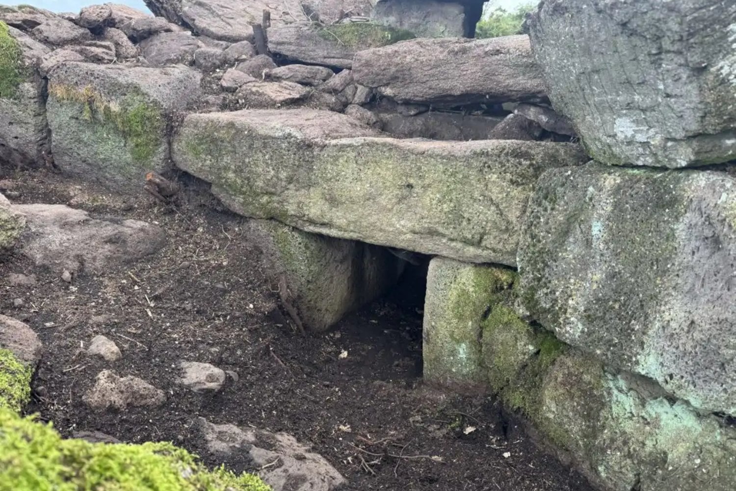 Una montaña de Cerdeña escondía bajo la maleza una puerta de piedra hacia la Edad del Bronce. Su extraña cámara de dos niveles abre una nueva pregunta sobre las Tumbas de los Gigantes