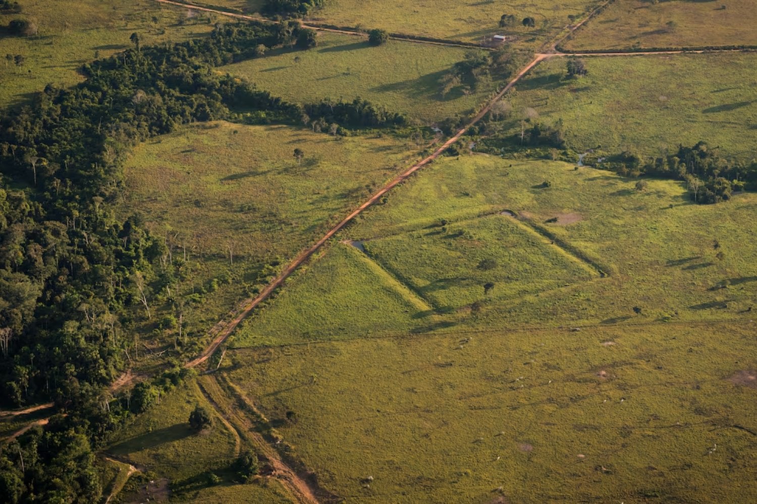 Pensábamos que bajo la Amazonia solo había selva. Un láser acaba de revelar miles de construcciones repartidas por un territorio del tamaño de un país