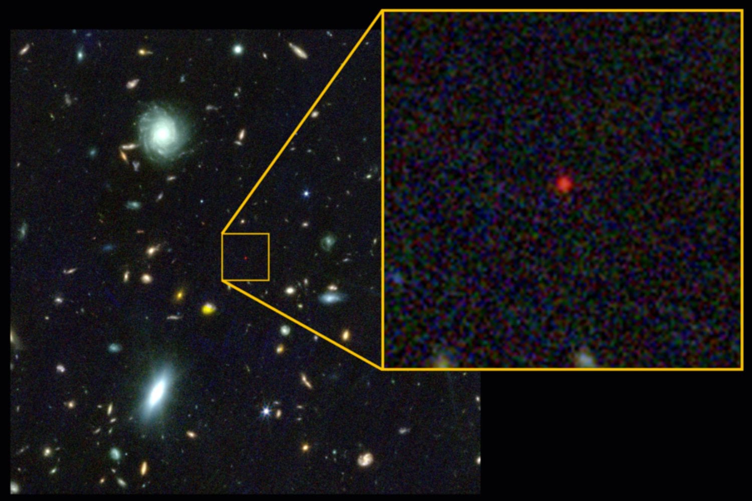 Webb encontró un punto rojo que parecía una estrella gigante en el universo primitivo. Al mirar dentro descubrió un agujero negro de 100.000 soles escondido en un capullo del tamaño del Sistema Solar