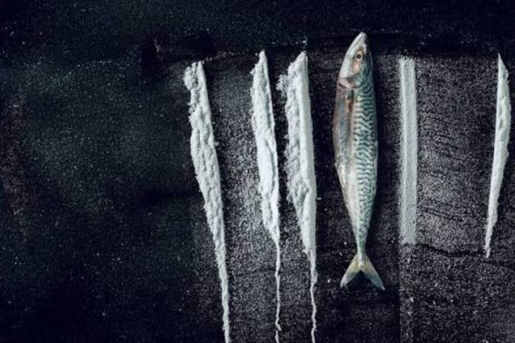 El Atlántico abrió un cargamento de cocaína frente a una de las islas más aisladas de Europa. Rabo de Peixe descubrió qué ocurre cuando una droga carísima pierde de golpe todo su valor