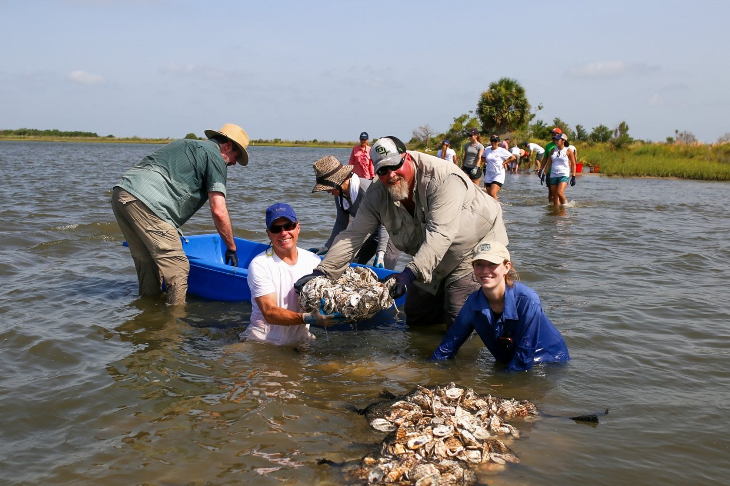 Las conchas de ostras acababan en la basura. Florida empezó a devolverlas al mar y descubrió que podían reconstruir arrecifes, limpiar el agua y proteger la costa