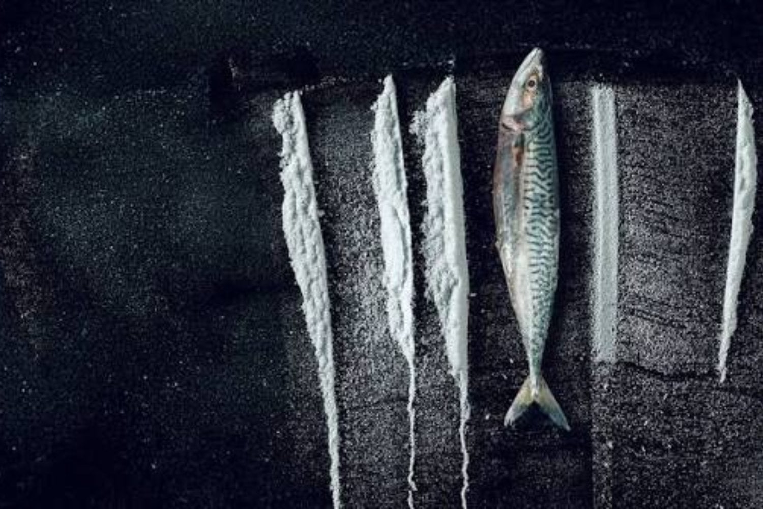 El Atlántico abrió un cargamento de cocaína frente a una de las islas más aisladas de Europa. Rabo de Peixe descubrió qué ocurre cuando una droga carísima pierde de golpe todo su valor
