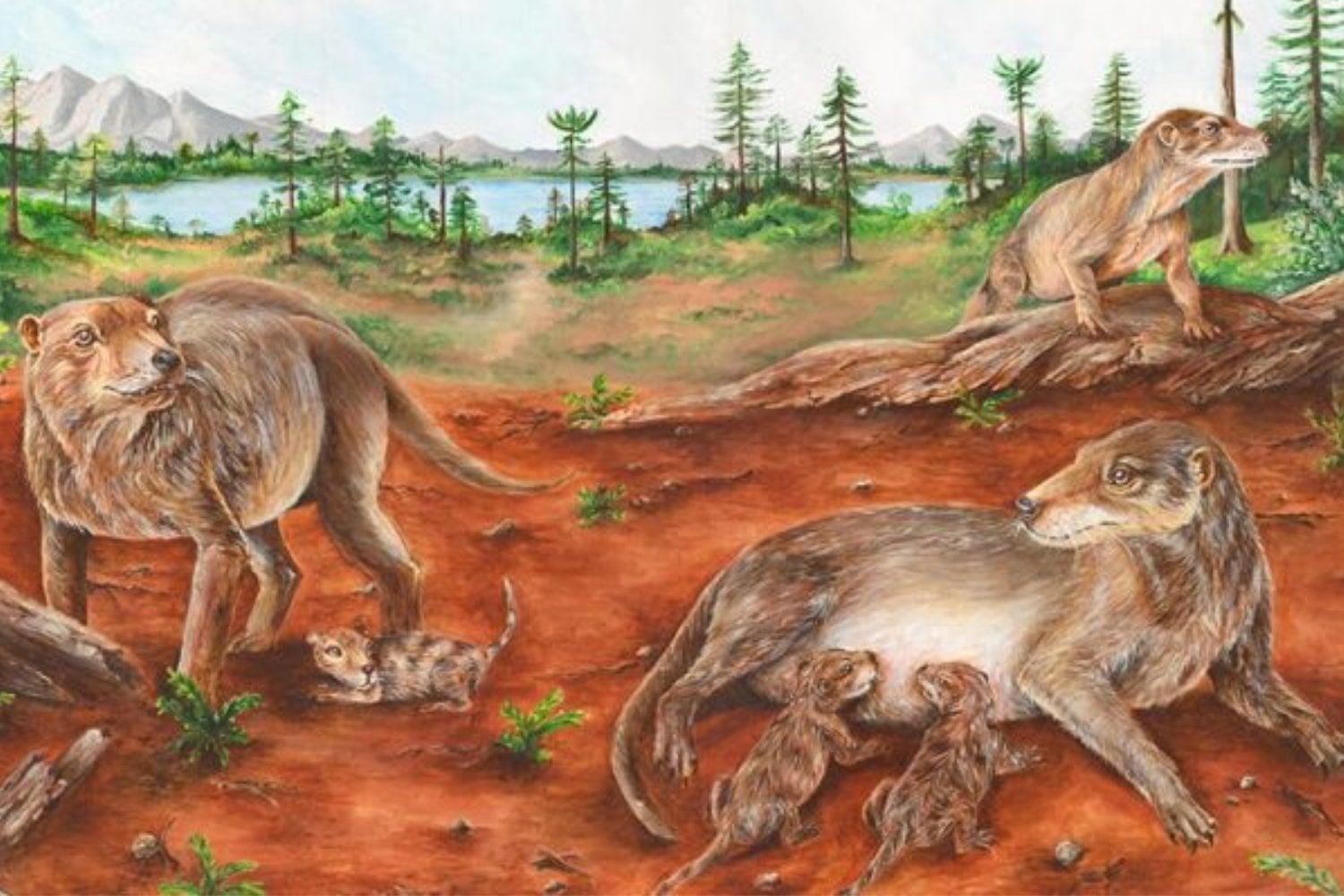 Los mamíferos ni siquiera existían y sus ancestros ya podrían haber parido crías vivas. Un fósil argentino de 236 millones de años acaba de adelantar el origen del viviparismo en casi 100 millones de años
