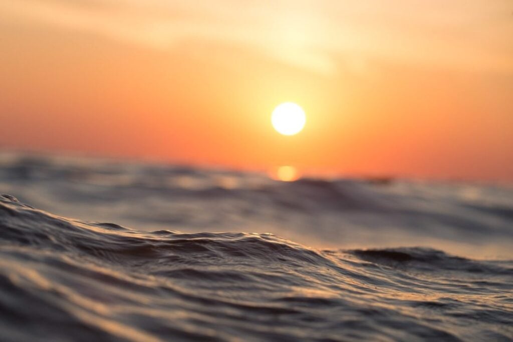 El océano acaba de romper su récord de calor en el peor momento posible. Llegó a 21,1 °C en agosto y El Niño todavía tiene varios meses para ganar fuerza