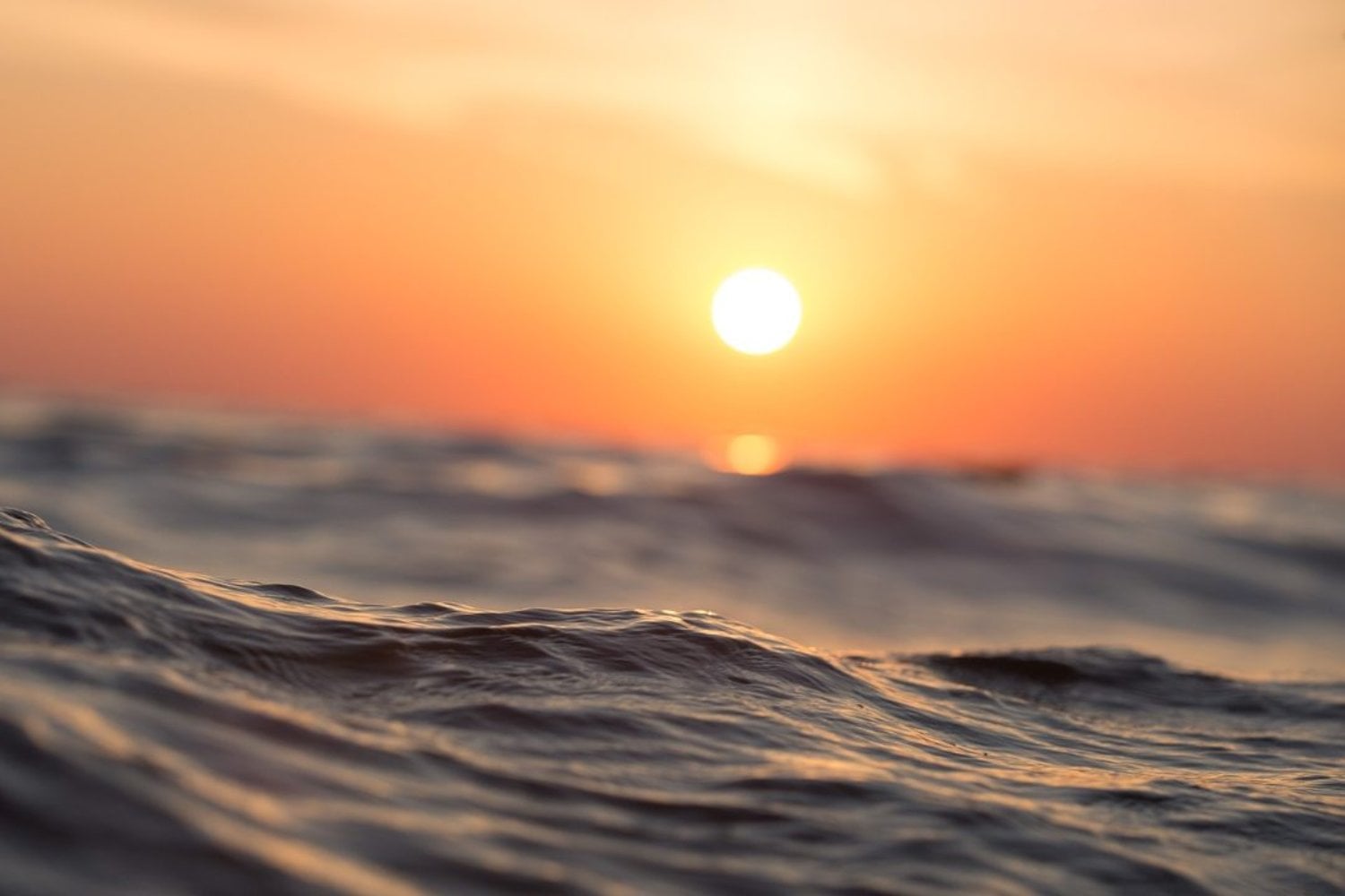 El océano acaba de romper su récord de calor en el peor momento posible. Llegó a 21,1 °C en agosto y El Niño todavía tiene varios meses para ganar fuerza