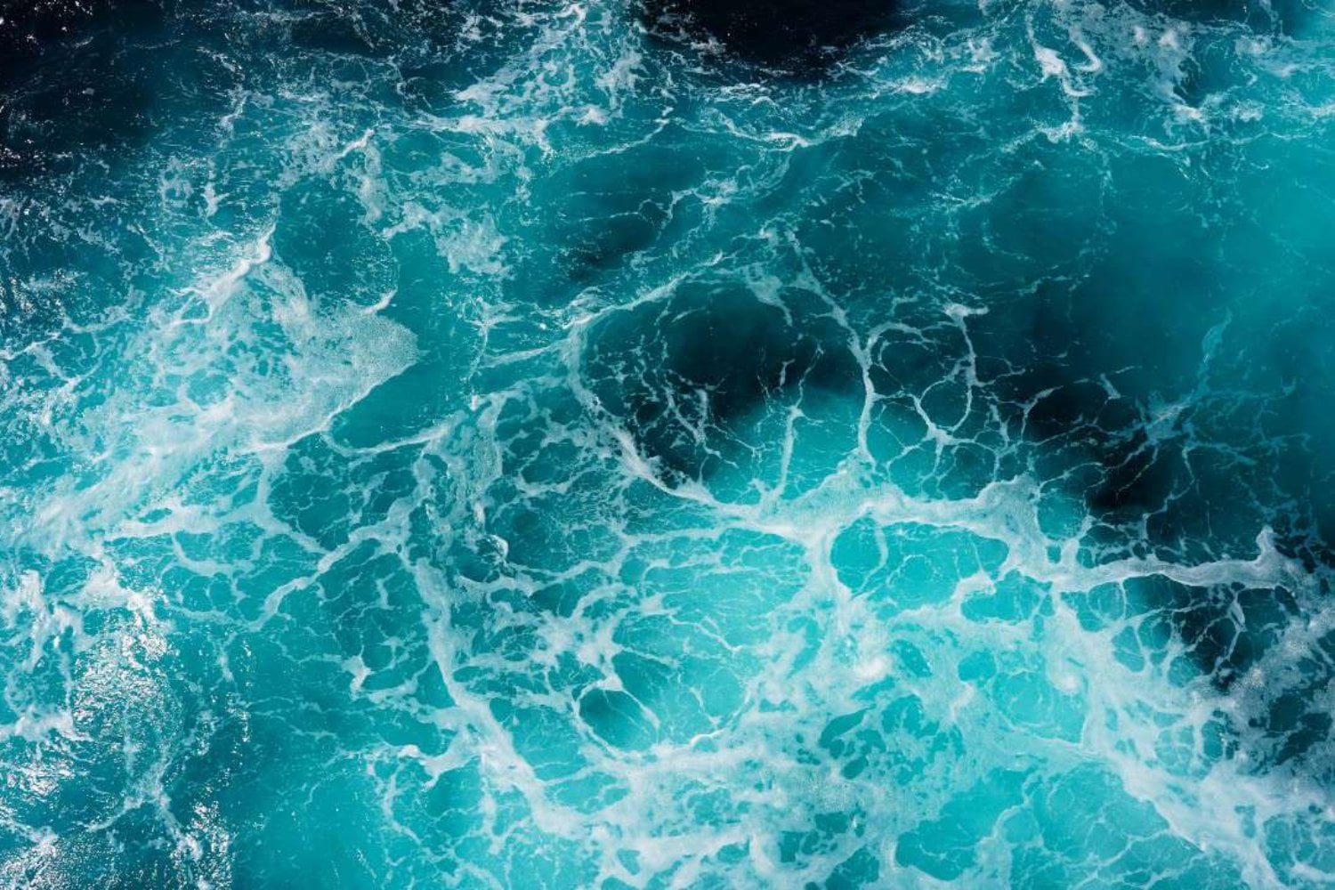 El océano acaba de romper su récord de calor en el peor momento posible. Llegó a 21,1 °C en agosto y El Niño todavía tiene varios meses para ganar fuerza