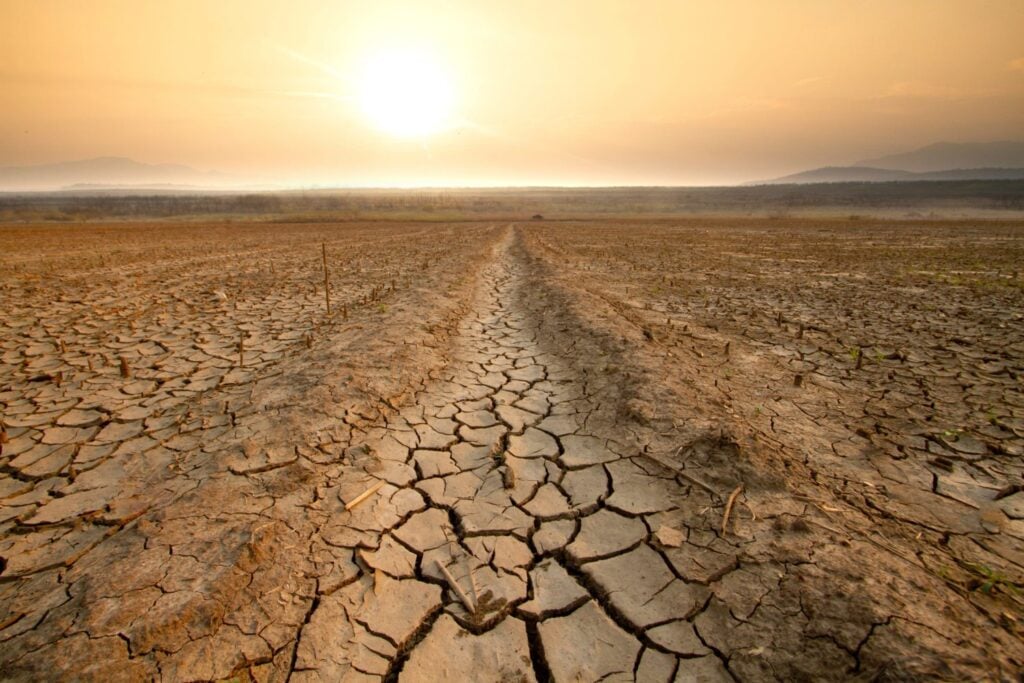 Europa acaba de medir por primera vez la desertificación con la misma regla. España encabeza el mapa con casi el 53% del territorio afectado y el problema ya empieza a avanzar hacia el centro del continente