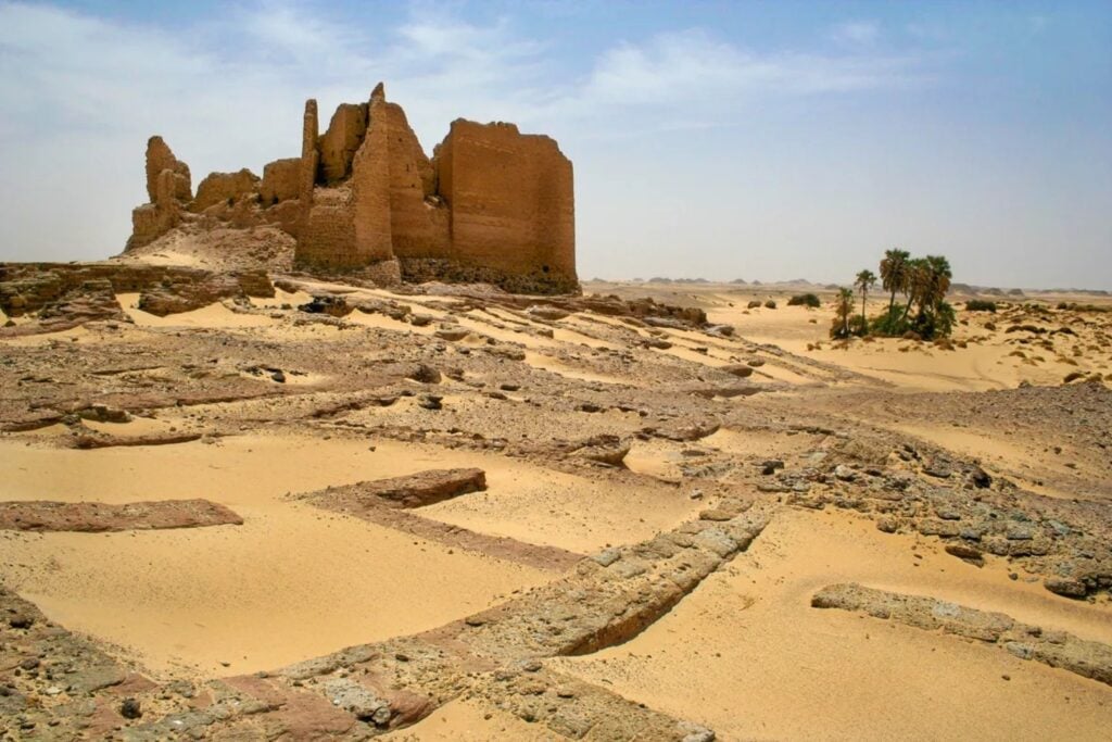 Los tiburones fueron los grandes depredadores de Egipto mucho antes que los faraones. Catorce dientes encontrados en pleno desierto revelan el mar tropical que desapareció bajo la arena