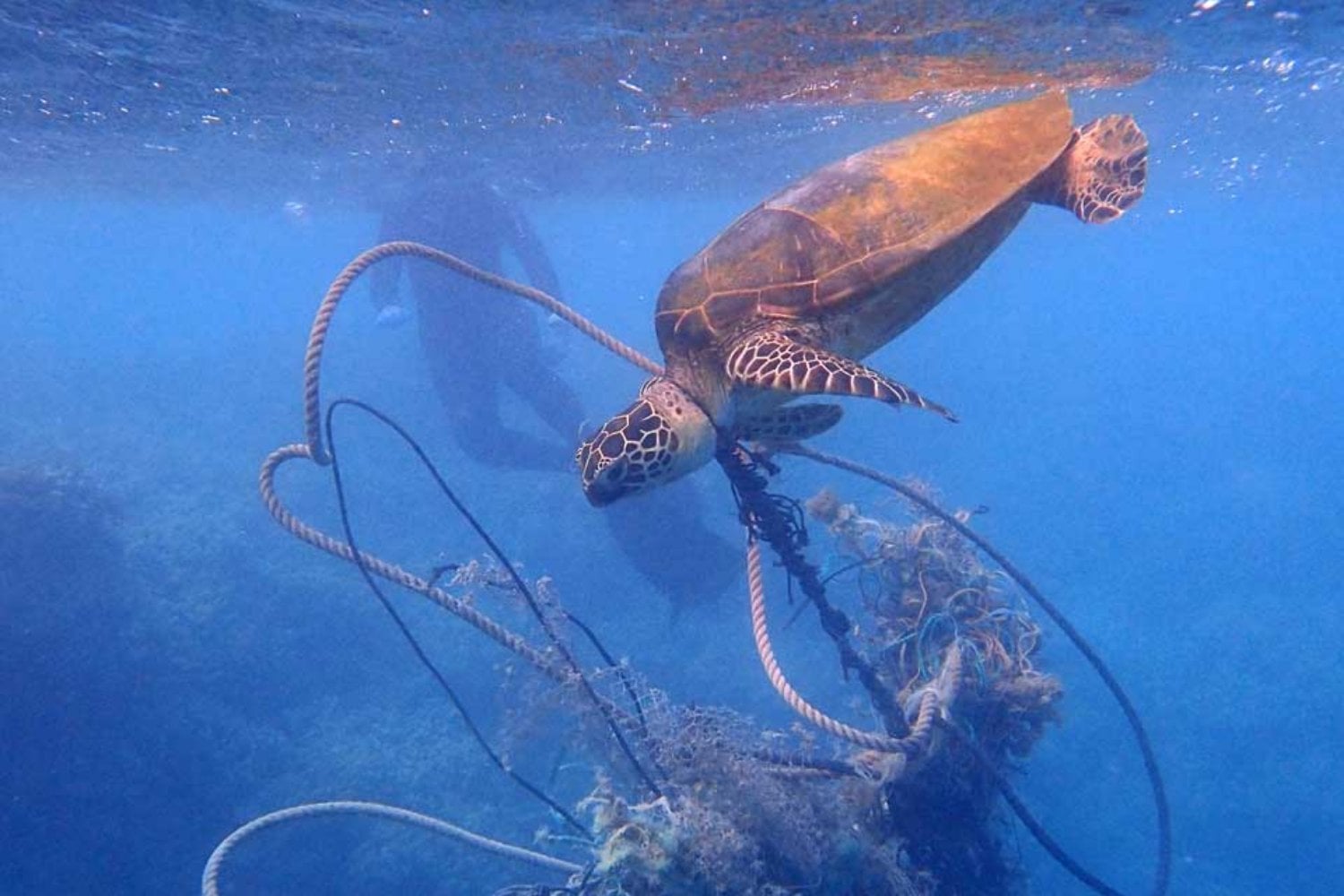 En medio del Pacífico hay una flota fantasma que pesca sin barcos ni tripulación. Sus redes pueden matar durante décadas y dominan la mayor acumulación de plástico del océano