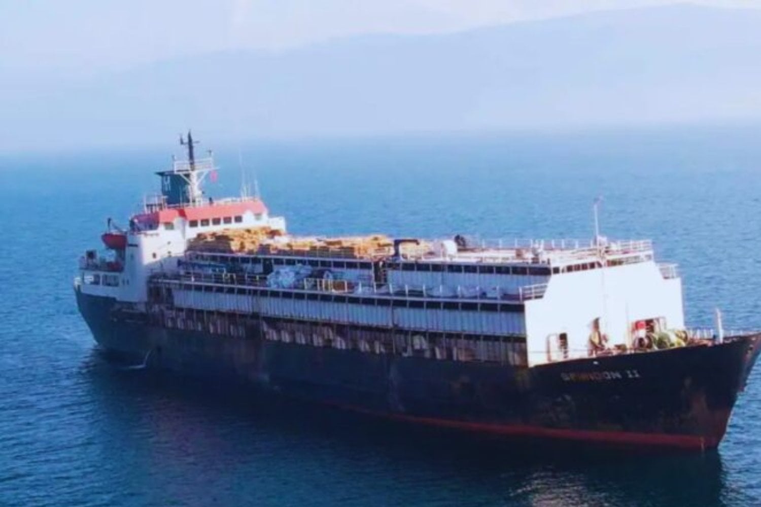 Turquía rechazó un barco con 2.901 vacas uruguayas y todo apuntaba a otro mes de agonía por el Atlántico. Desapareció tres días del radar, terminó en Libia y una investigación calcula que al menos 340 animales murieron