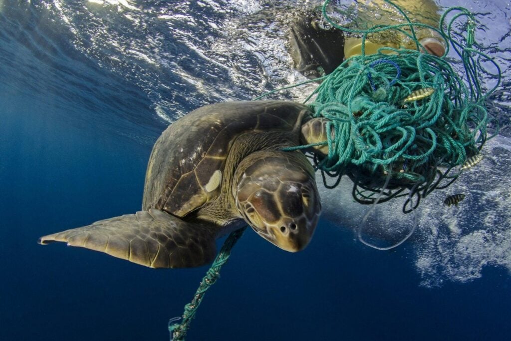 En medio del Pacífico hay una flota fantasma que pesca sin barcos ni tripulación. Sus redes pueden matar durante décadas y dominan la mayor acumulación de plástico del océano