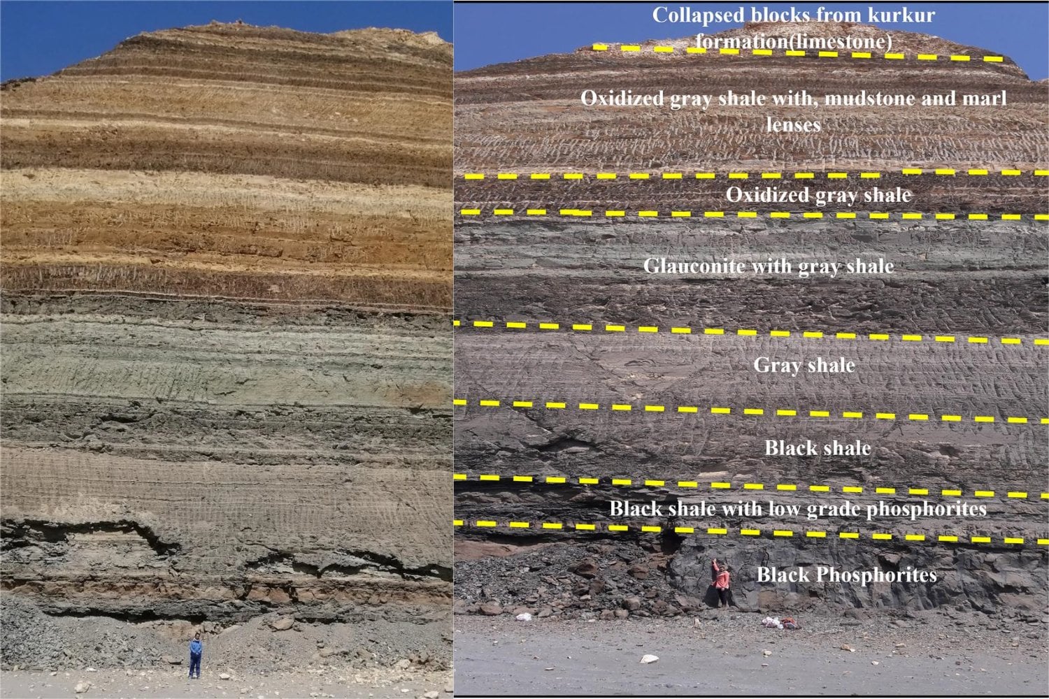 Los tiburones fueron los grandes depredadores de Egipto mucho antes que los faraones. Catorce dientes encontrados en pleno desierto revelan el mar tropical que desapareció bajo la arena