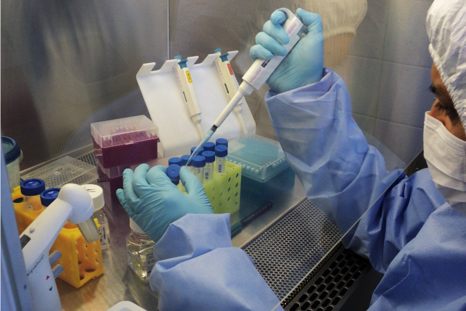 Dos personas murieron sin que ninguna crónica registrara la epidemia que las alcanzó. Cinco siglos después, el ADN de sus huesos reveló cómo la viruela atravesó América con la colonización europea