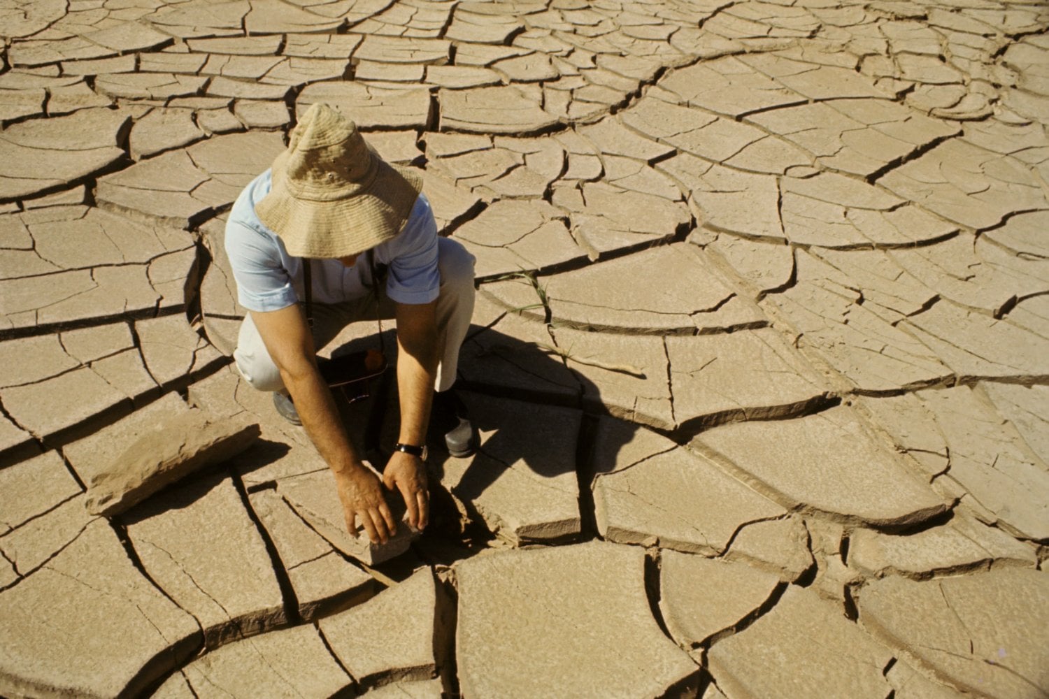 El planeta tendrá que producir un 50% más de alimentos para 2050, pero el 40% de la tierra ya está degradada. La crisis bajo nuestros pies cuesta casi 780.000 millones de euros cada año