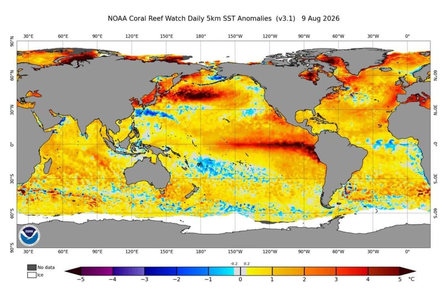 El Niño de 2026 ya tiene un 69% de probabilidades de convertirse en el más fuerte desde 1950. Bajo el Pacífico aparecen anomalías de hasta 10 °C y América Latina mira a un final de año extremo
