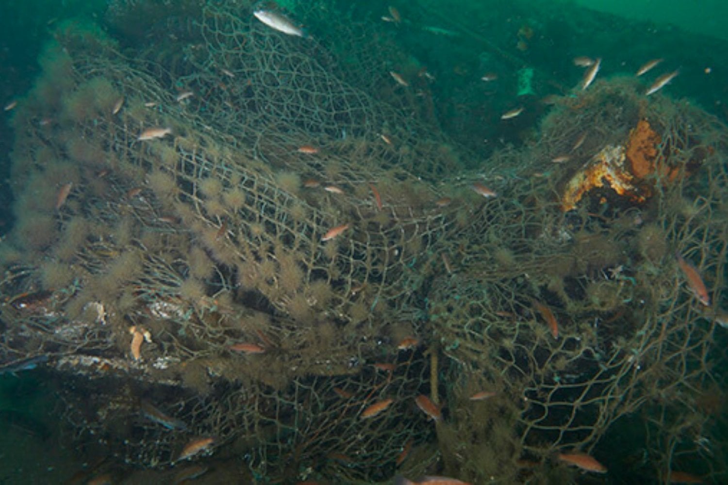 En medio del Pacífico hay una flota fantasma que pesca sin barcos ni tripulación. Sus redes pueden matar durante décadas y dominan la mayor acumulación de plástico del océano