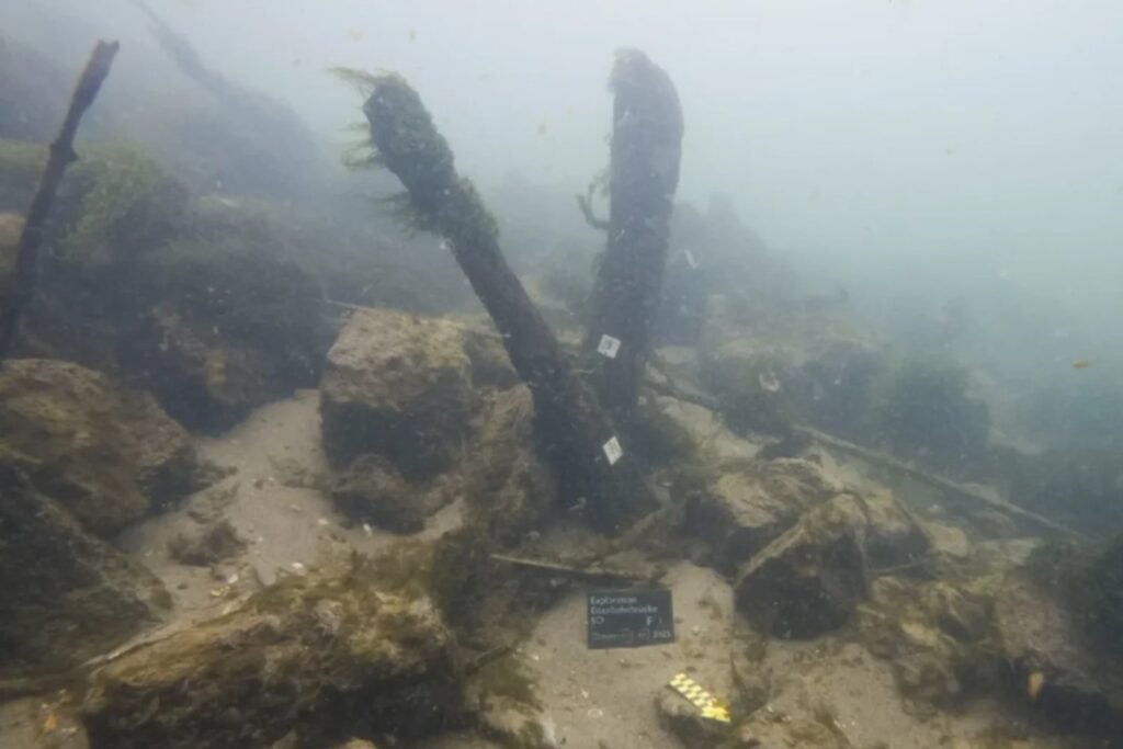 Suiza iba a renovar un puente sobre el río Aare. Los arqueólogos miraron debajo y encontraron otro que llevaba 1.700 años allí desde el Imperio romano