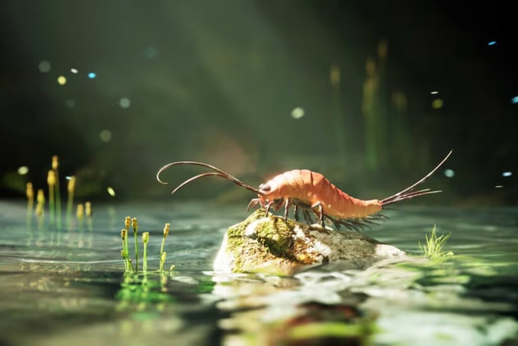 Parecía una simple larva de crustáceo, pero escondía una transición que cambió el planeta. El fósil de un insecto Parecía una simple larva de crustáceo, pero escondía una transición que cambió el planeta. El fósil de un insecto con seis patas y remos revela cómo su linaje conquistó tierra firme