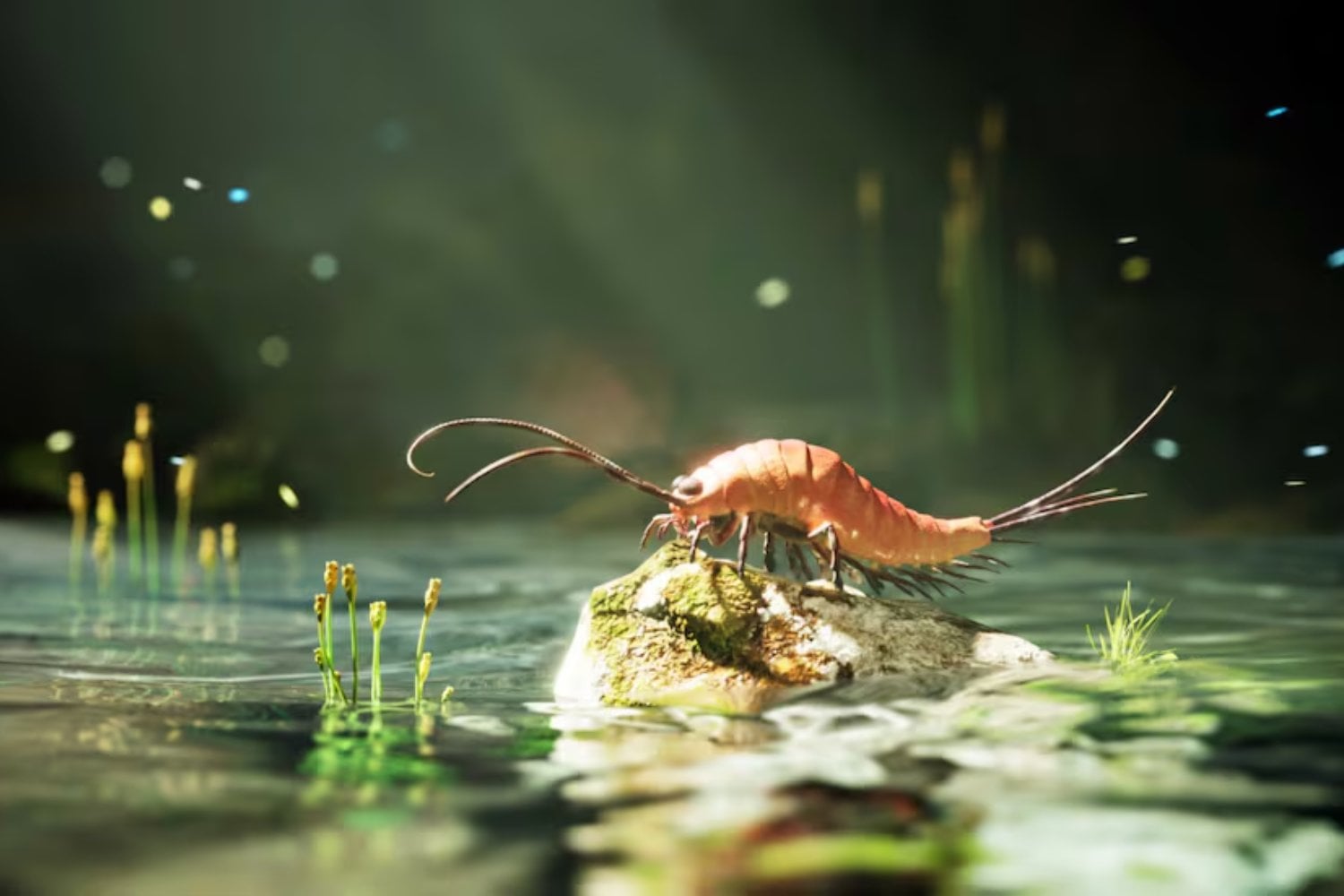 Parecía una simple larva de crustáceo, pero escondía una transición que cambió el planeta. El fósil de un insecto Parecía una simple larva de crustáceo, pero escondía una transición que cambió el planeta. El fósil de un insecto con seis patas y remos revela cómo su linaje conquistó tierra firme