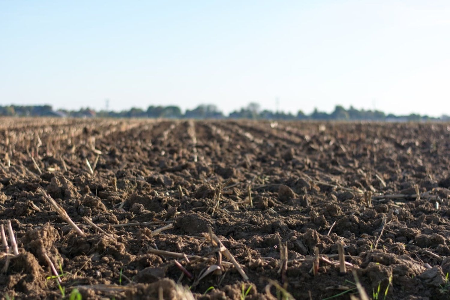 El planeta tendrá que producir un 50% más de alimentos para 2050, pero el 40% de la tierra ya está degradada. La crisis bajo nuestros pies cuesta casi 780.000 millones de euros cada año