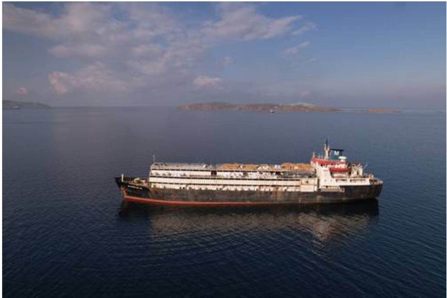 Turquía rechazó un barco con 2.901 vacas uruguayas y todo apuntaba a otro mes de agonía por el Atlántico. Desapareció tres días del radar, terminó en Libia y una investigación calcula que al menos 340 animales murieron
