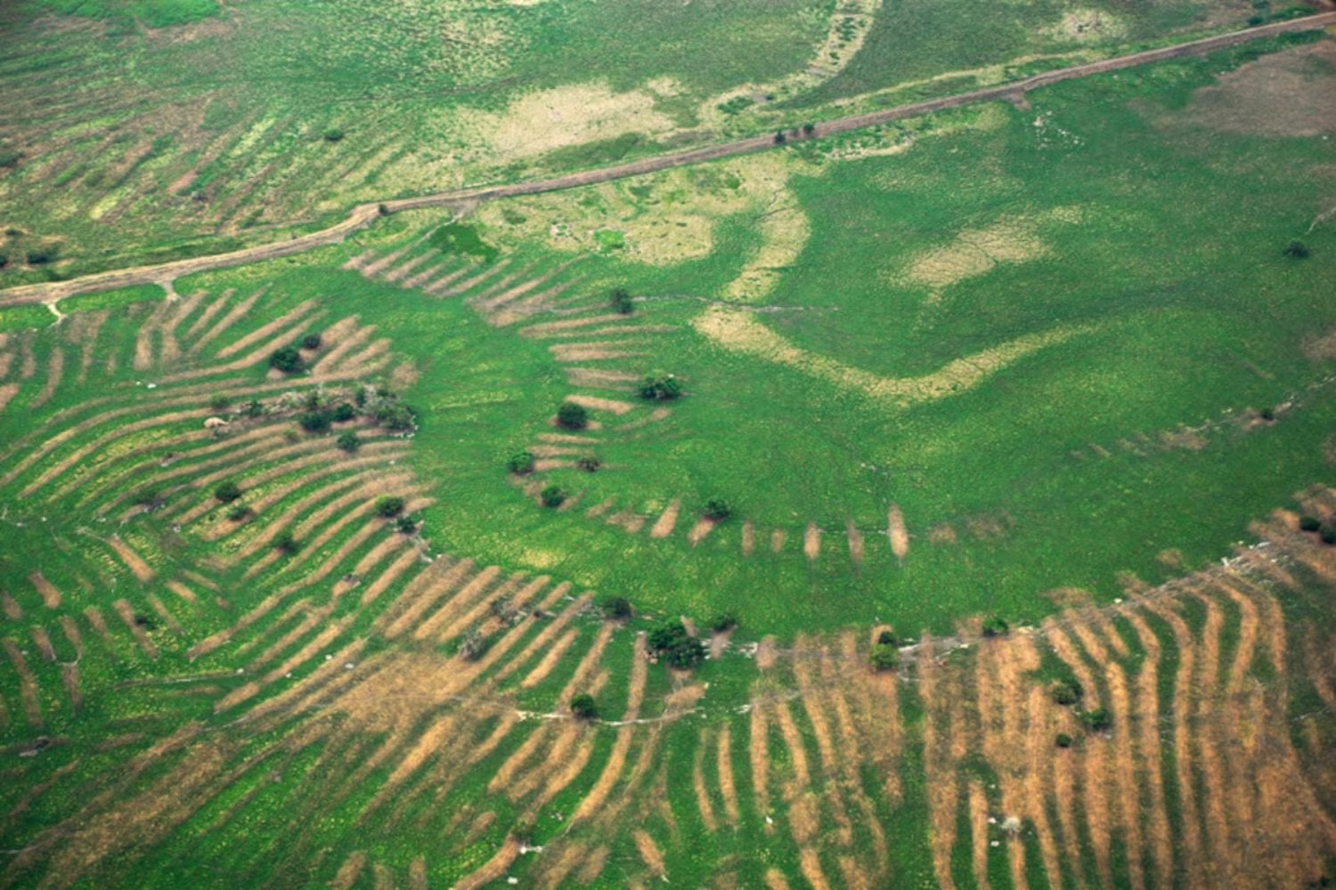 Los zenú transformaron 500.000 hectáreas de humedales en Colombia con canales y campos elevados. Un nuevo cálculo revela que no hacían falta reyes ni un Estado: 800 personas podían levantar 500 hectáreas en apenas unas semanas