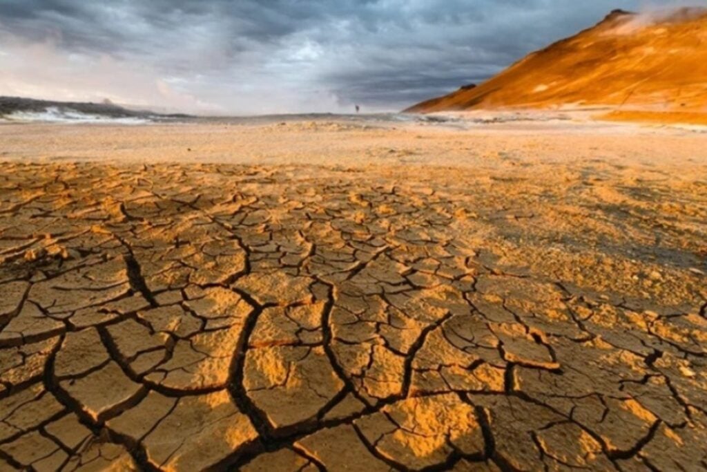 El planeta tendrá que producir un 50% más de alimentos para 2050, pero el 40% de la tierra ya está degradada. La crisis bajo nuestros pies cuesta casi 780.000 millones de euros cada año