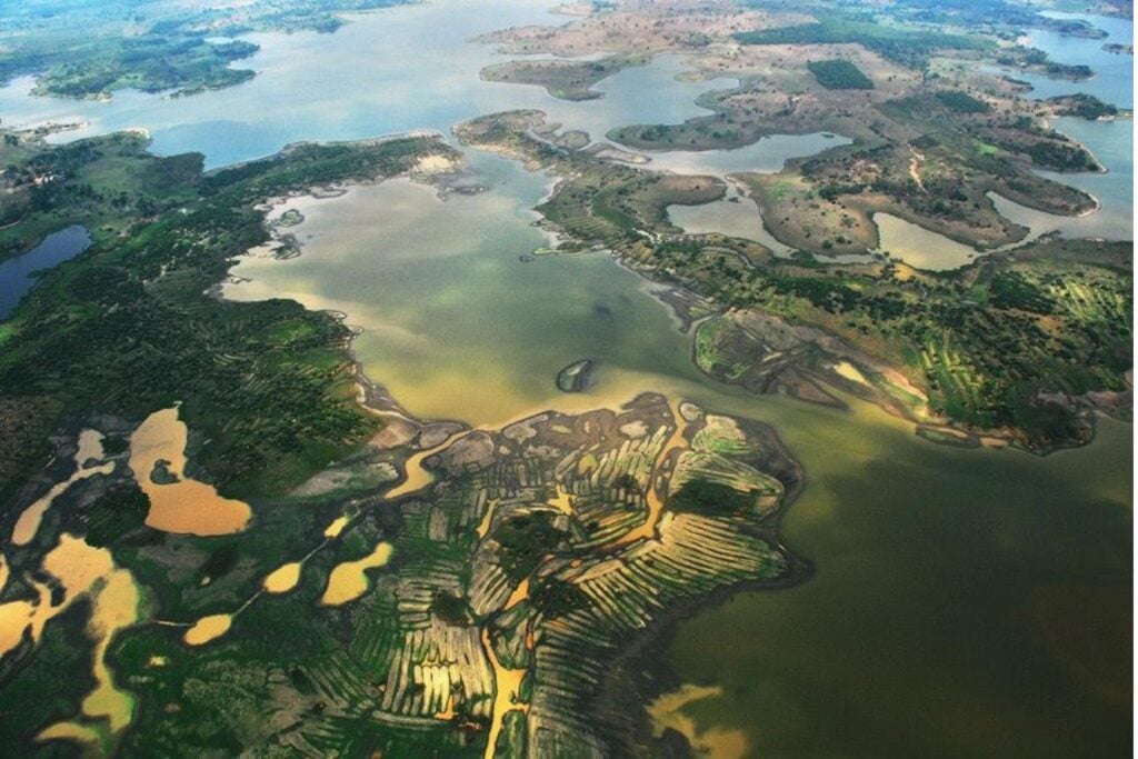 Los zenú transformaron 500.000 hectáreas de humedales en Colombia con canales y campos elevados. Un nuevo cálculo revela que no hacían falta reyes ni un Estado: 800 personas podían levantar 500 hectáreas en apenas unas semanas