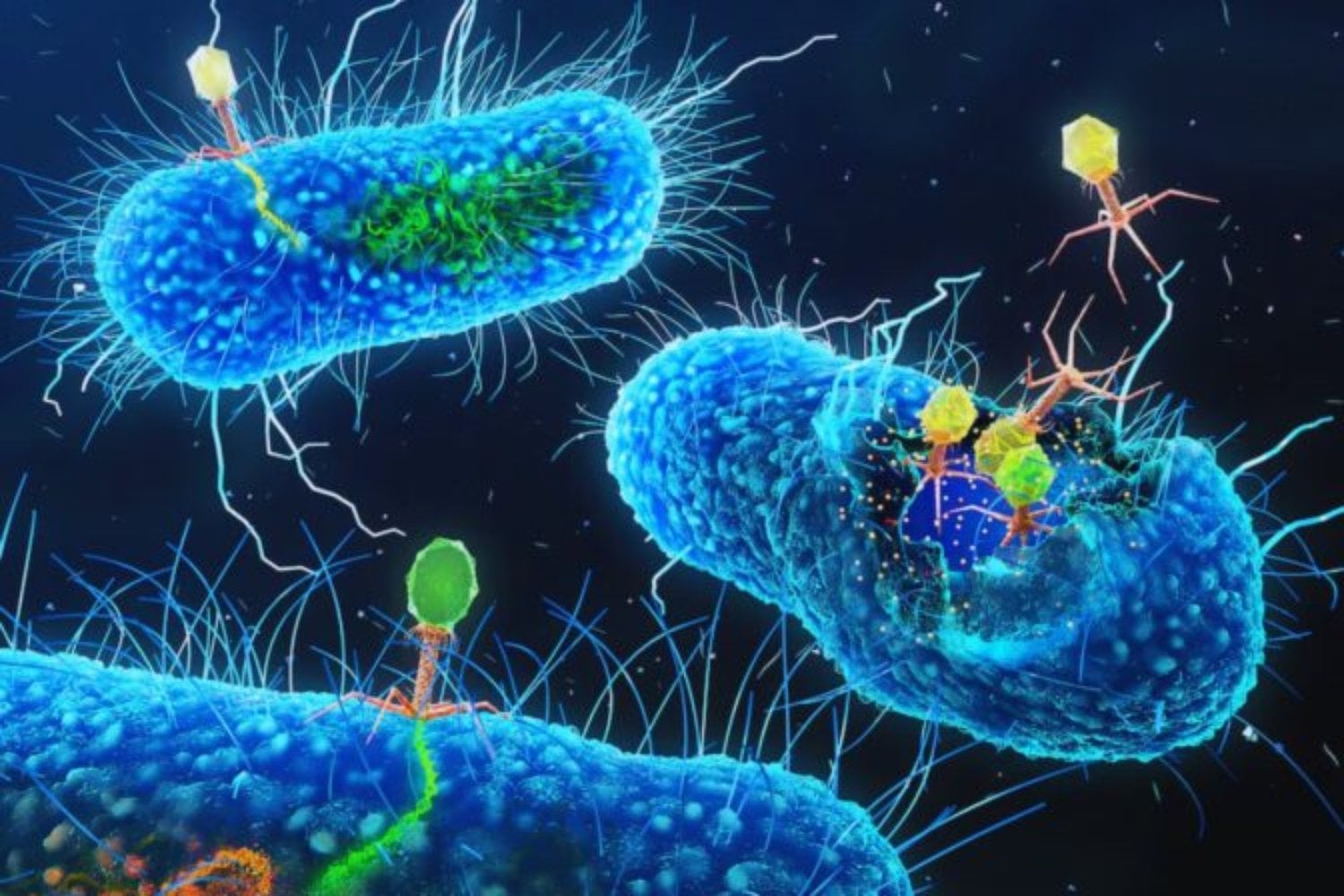 La IA acaba de cruzar una frontera que hasta ahora parecía lejana: por primera vez ha escrito genomas completos de virus que después funcionaron en el laboratorio