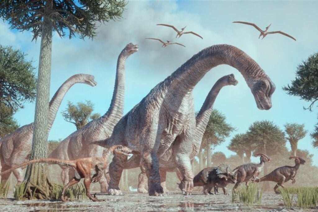 El registro fósil conserva mamíferos y lagartos del tamaño de un ratón, pero ni un solo dinosaurio no aviano adulto tan pequeño en 180 millones de años. Dos yacimientos excepcionales acaban de desmontar la explicación más cómoda: que sus huesos simplemente desaparecieron