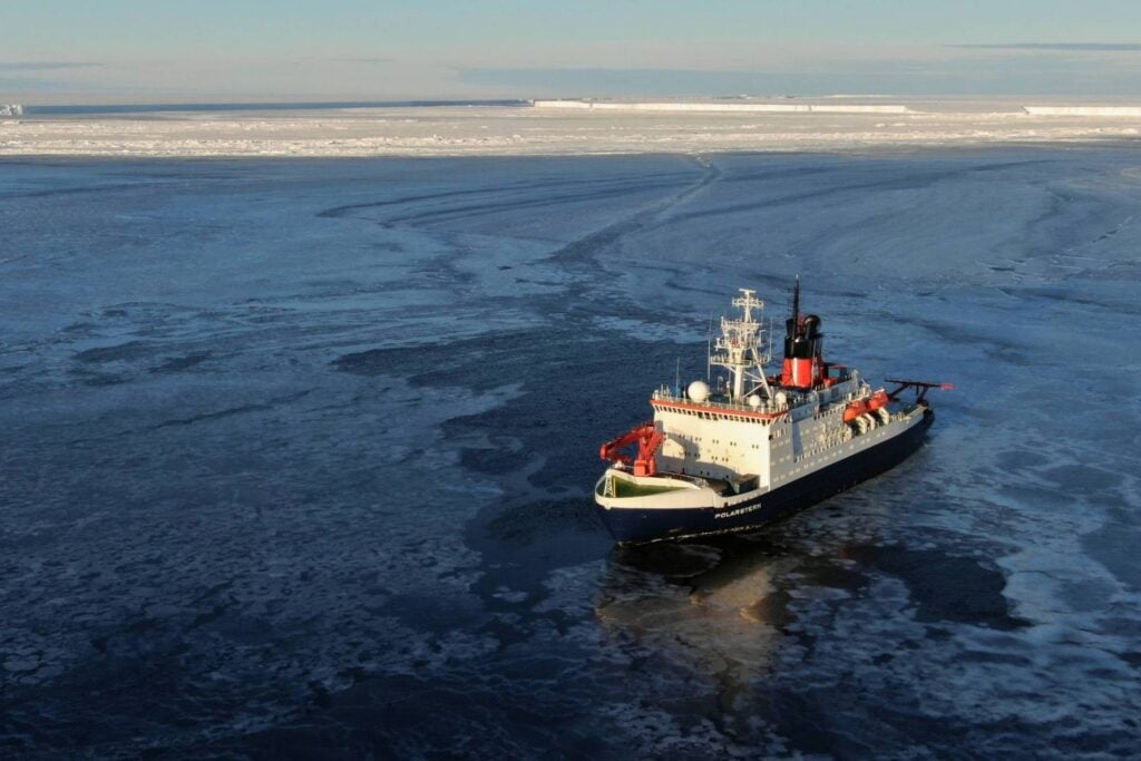 Las cámaras del Polarstern descendieron 535 metros y el fondo empezó a llenarse de círculos. Bajo el hielo de la Antártida había 60 millones de nidos custodiados por peces