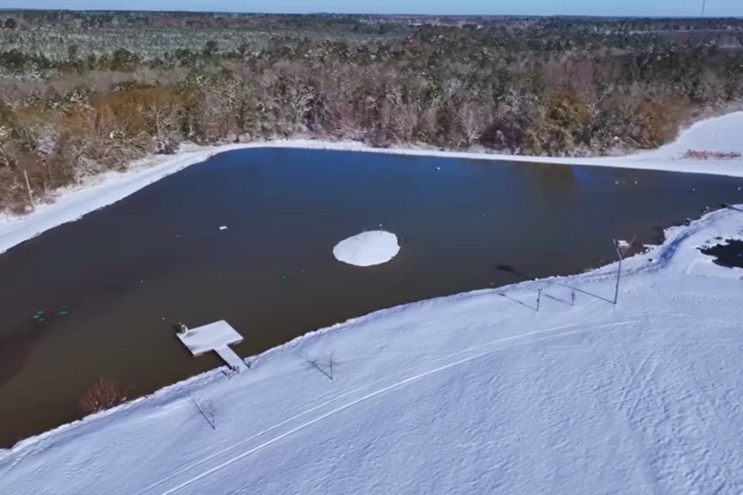 Un hombre excavó un lago para criar peces en mitad de un campo. Mil días después, águilas, ciervos, búhos y mapaches lo habían convertido en un ecosistema que nadie planeó