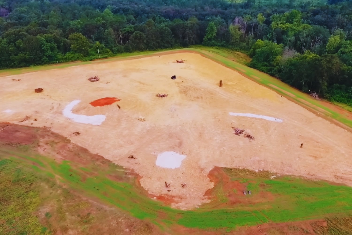 Un hombre excavó un lago para criar peces en mitad de un campo. Mil días después, águilas, ciervos, búhos y mapaches lo habían convertido en un ecosistema que nadie planeó