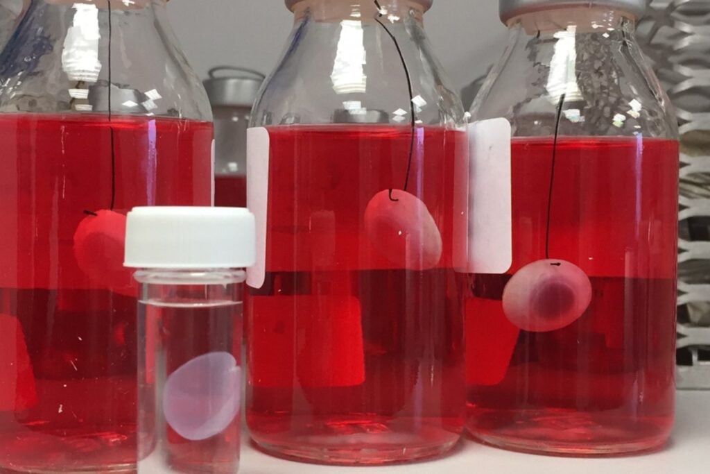 No era plástico lo que salía de aquella impresora 3D, sino células humanas vivas formando una córnea. El experimento tardó menos de 10 minutos y abrió una puerta enorme para los trasplantes