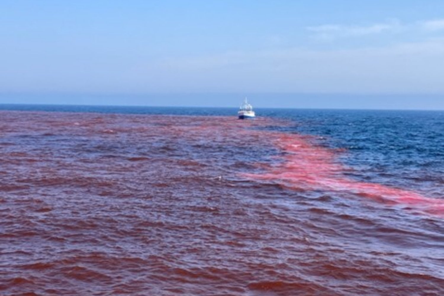 Estados Unidos vertió 62.000 litros de solución alcalina en el Atlántico para abrirle un “hueco” químico al CO₂. Siguieron el agua durante cinco días, pero aún falta la única cifra que importa