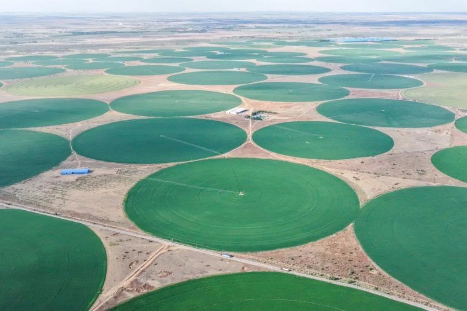 China lleva 48 años levantando una muralla de 66.000 millones de árboles contra el desierto. Los satélites revelan ahora que sus bosques plantados crecen un 66% más rápido que los naturales