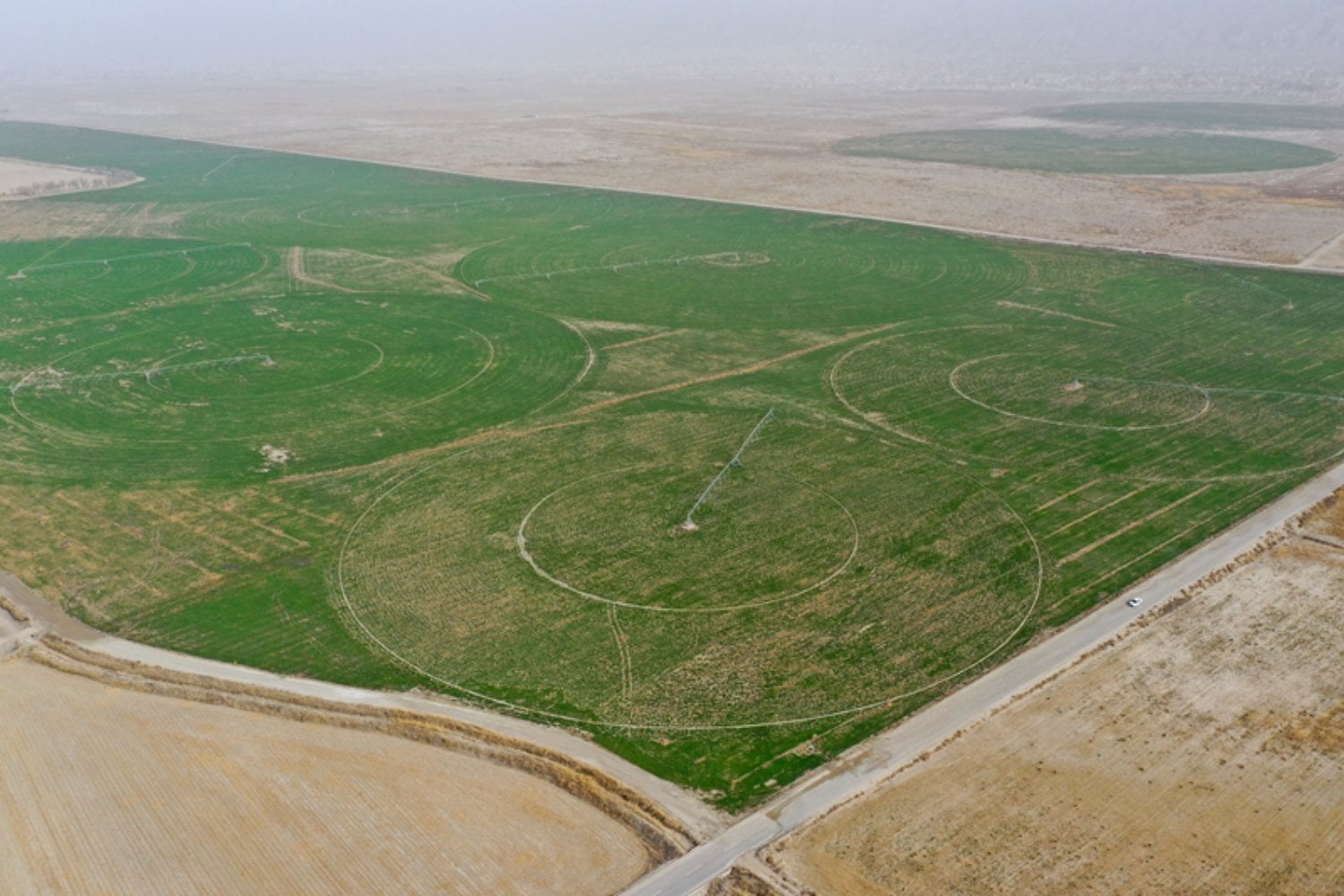 China lleva 48 años levantando una muralla de 66.000 millones de árboles contra el desierto. Los satélites revelan ahora que sus bosques plantados crecen un 66% más rápido que los naturales