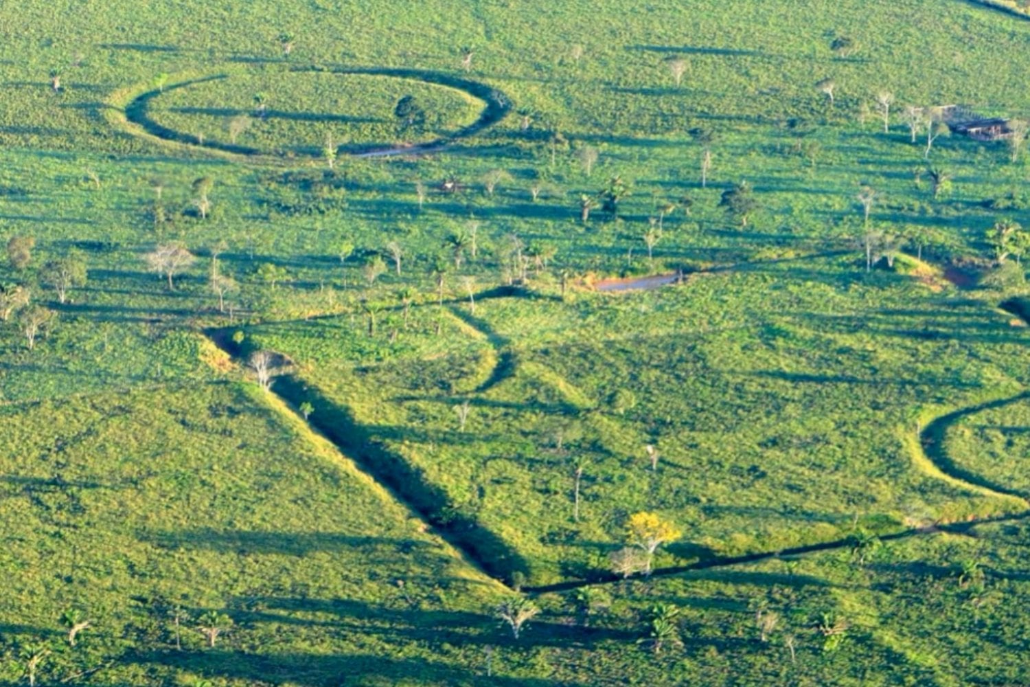 El LiDAR atravesó la selva amazónica y encontró casi 400 estructuras ocultas: podrían existir más de 20.000