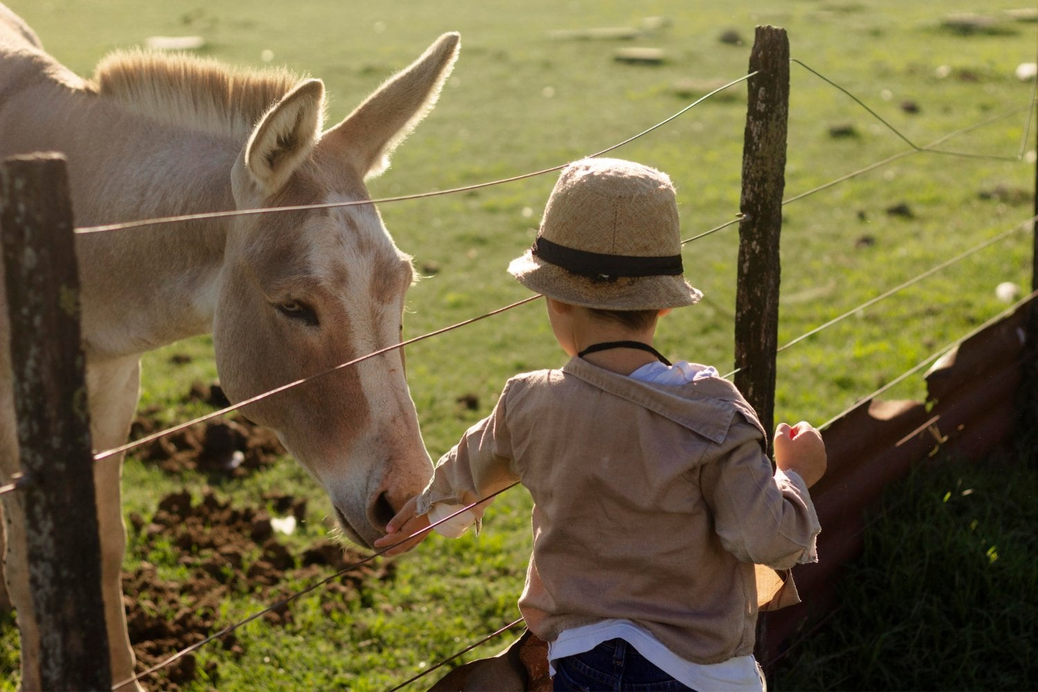 Los niños de granja tienen menos alergias y la ciencia lleva años intentando copiar el secreto de su sistema inmunitario