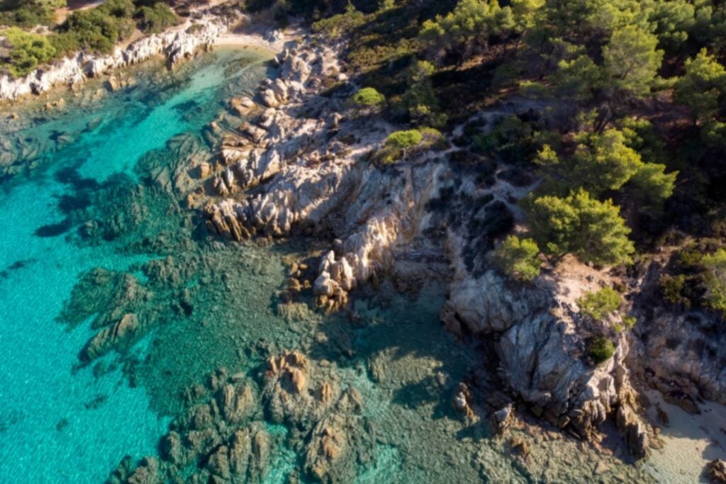 Mallorca busca una salida a su crisis de agua: plantar un millón de árboles o seguir construyendo desaladoras