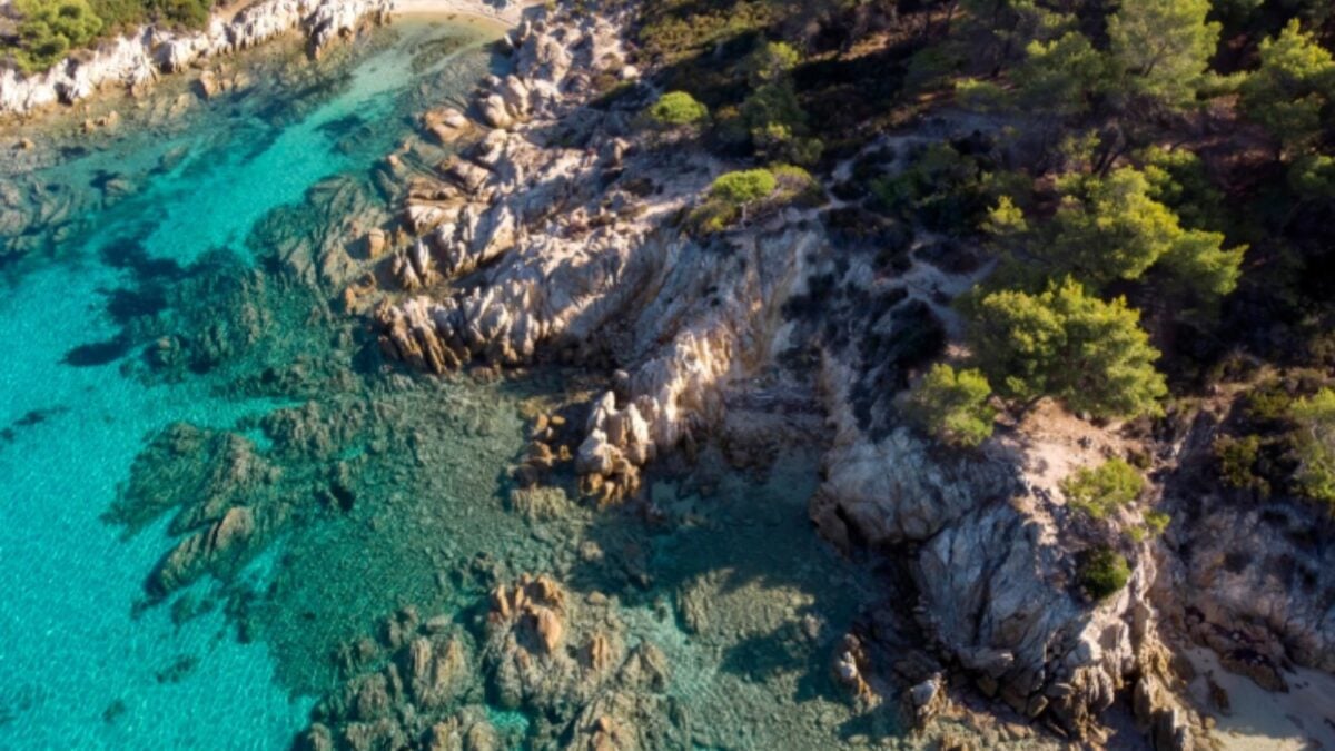 Mallorca busca una salida a su crisis de agua: plantar un millón de árboles o seguir construyendo desaladoras