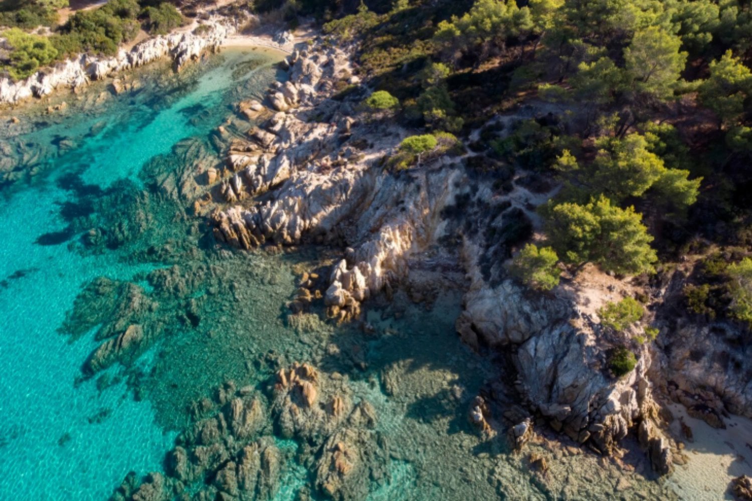 Mallorca busca una salida a su crisis de agua: plantar un millón de árboles o seguir construyendo desaladoras