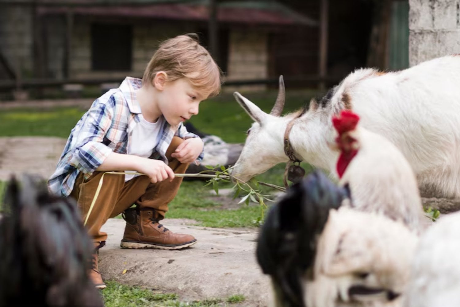 Los niños de granja tienen menos alergias y la ciencia lleva años intentando copiar el secreto de su sistema inmunitario