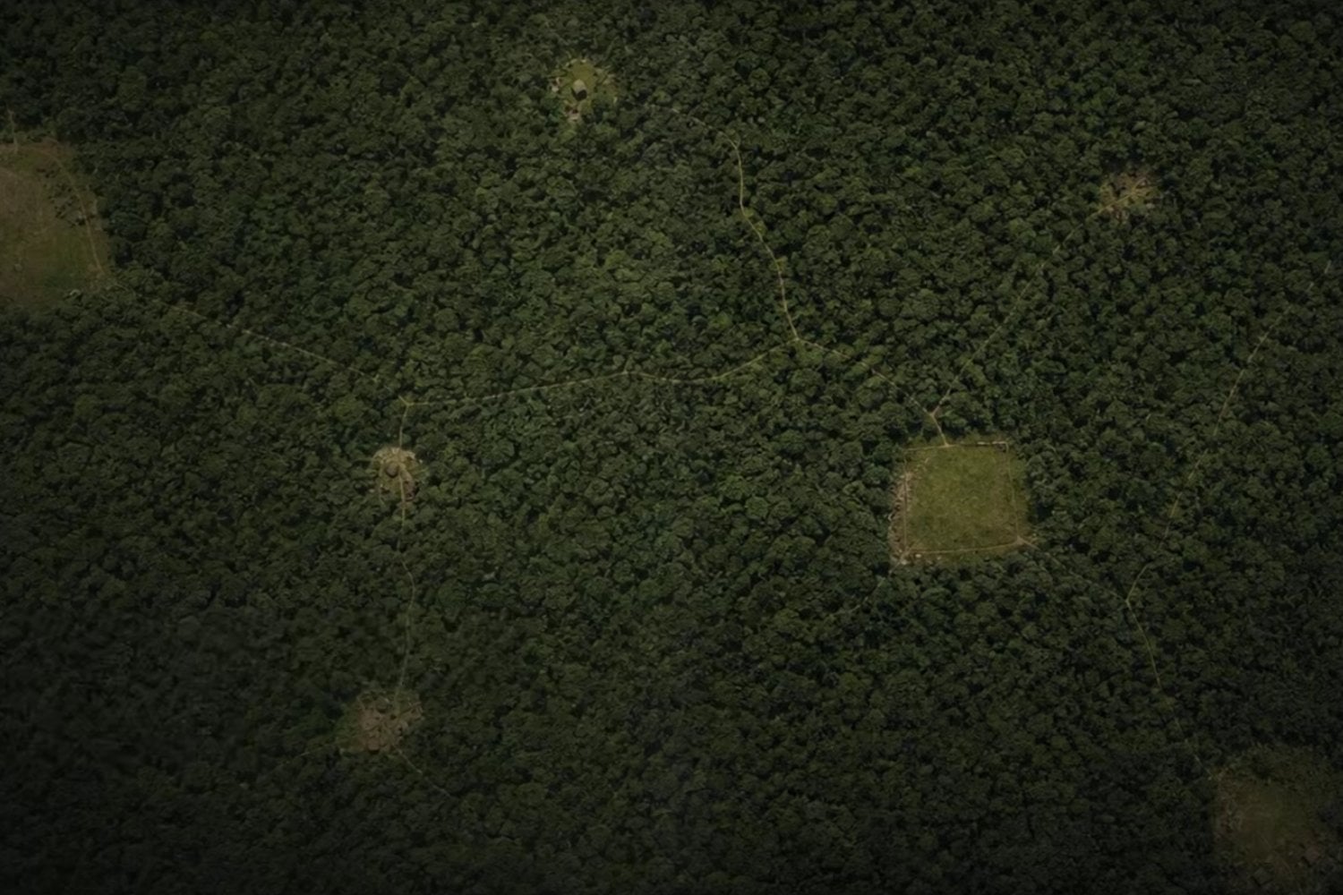 Quitaron digitalmente los árboles de la Amazonia y apareció algo inesperado: miles de estructuras construidas por humanos