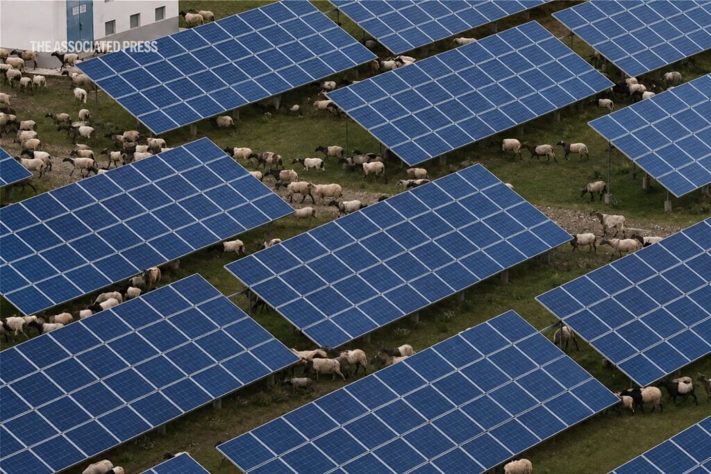 China cubrió una zona árida con millones de paneles solares y ocurrió algo inesperado: el terreno empezó a reverdecer