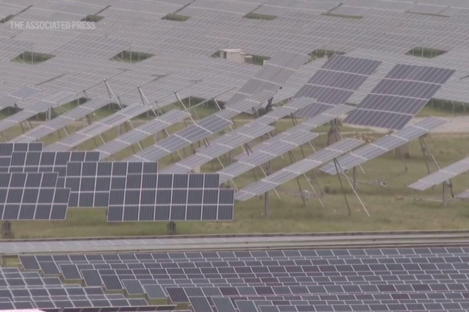 China cubrió una zona árida con millones de paneles solares y ocurrió algo inesperado: el terreno empezó a reverdecer)