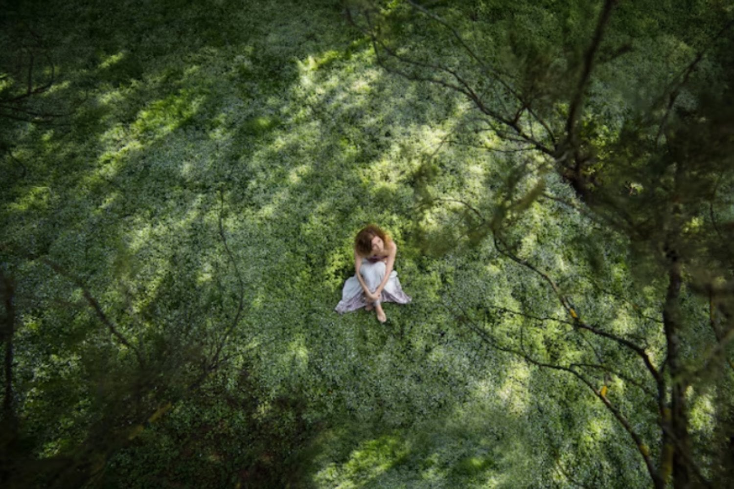 Portugal tiene el primer “bosque terapéutico” certificado de la península ibérica: 105 hectáreas diseñadas para reducir el estrés