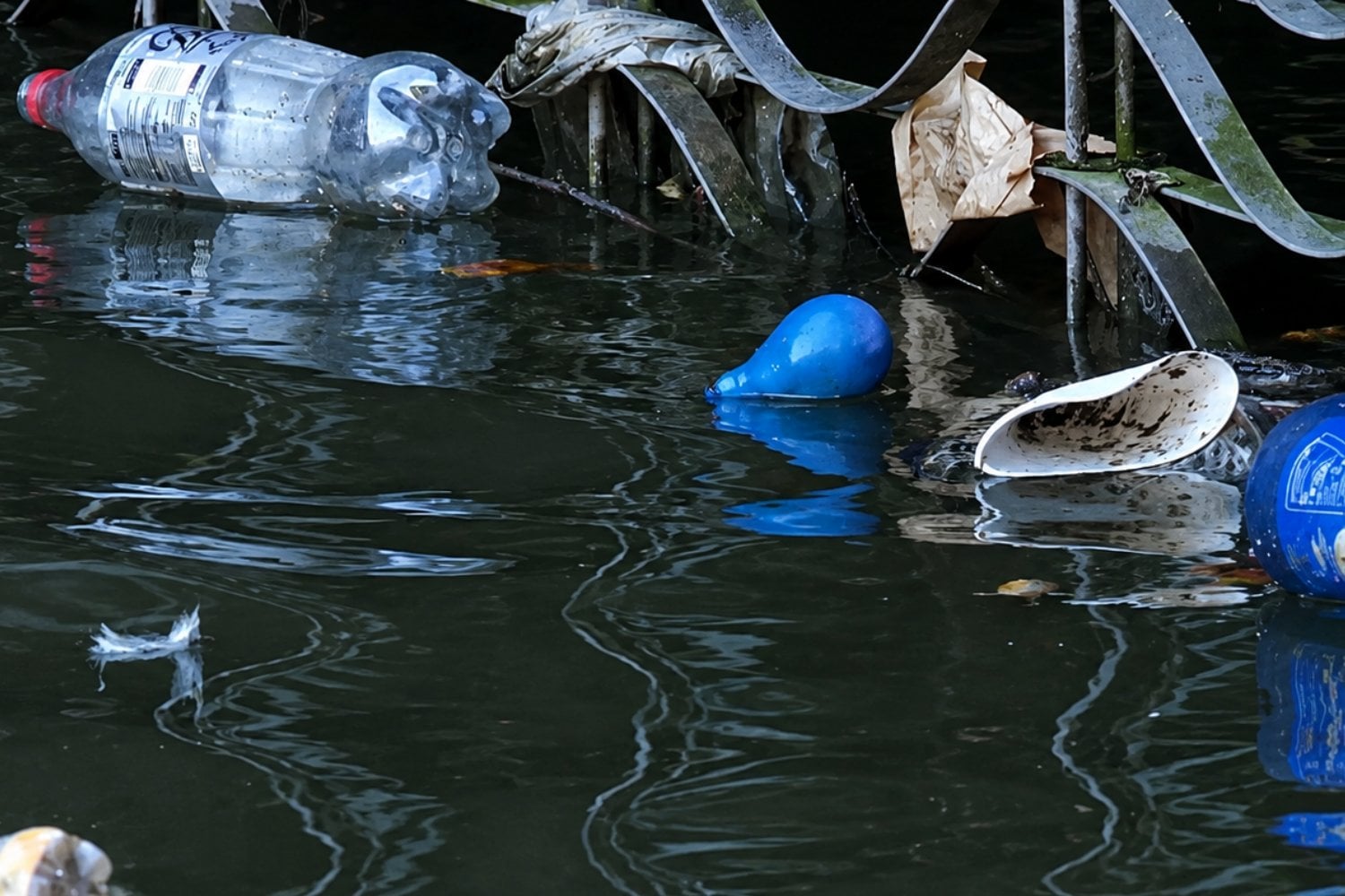 Crean un globo 100% biodegradable que desaparece en nueve meses sin dejar residuos tóxicos