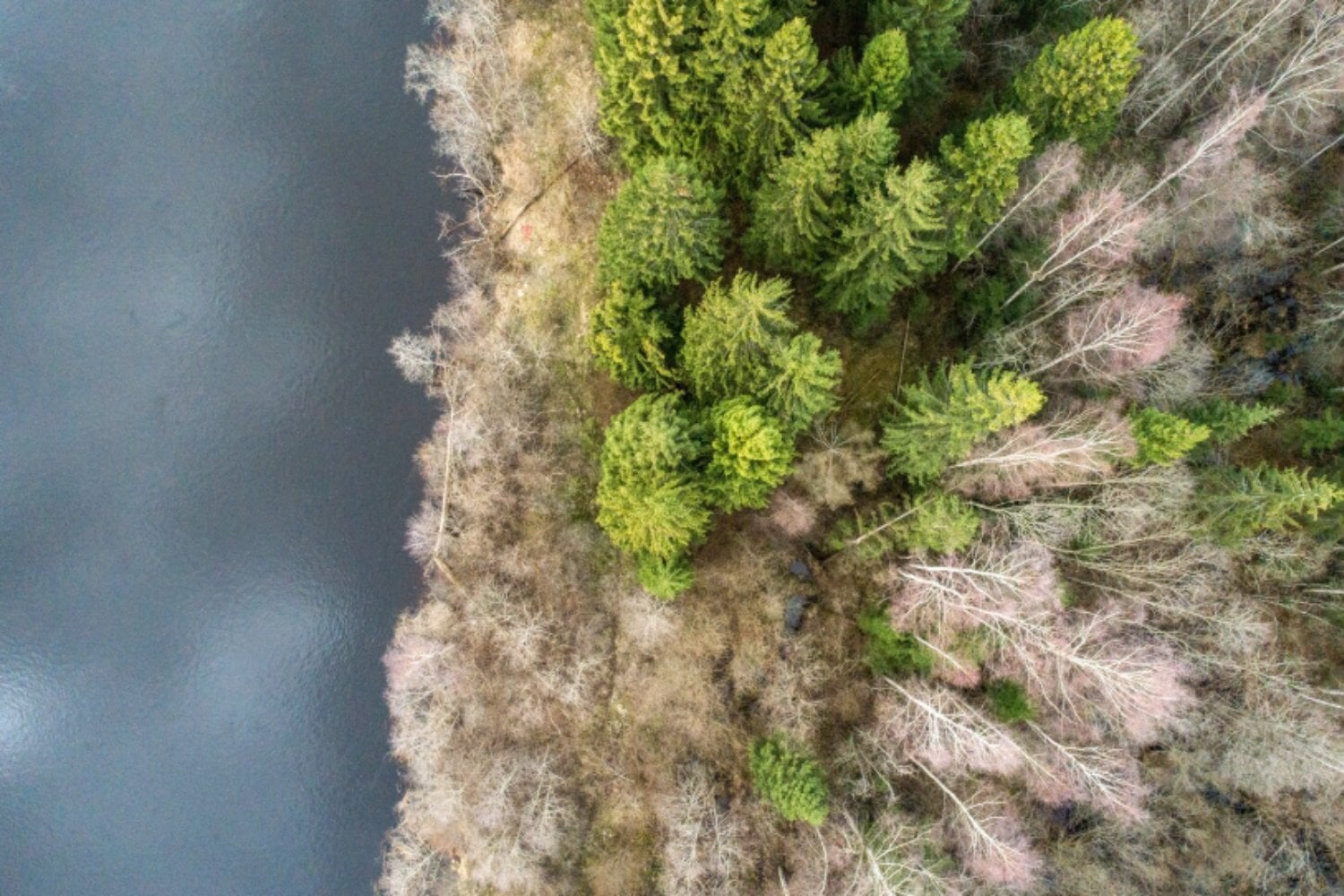 La llamada “burocracia verde” es también la barrera que protege ríos, acuíferos y espacios naturales